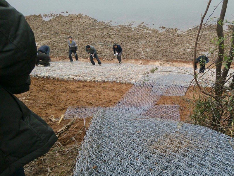 �삐���v�ʯ�\�W�D��